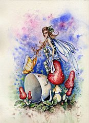 Fairy 34